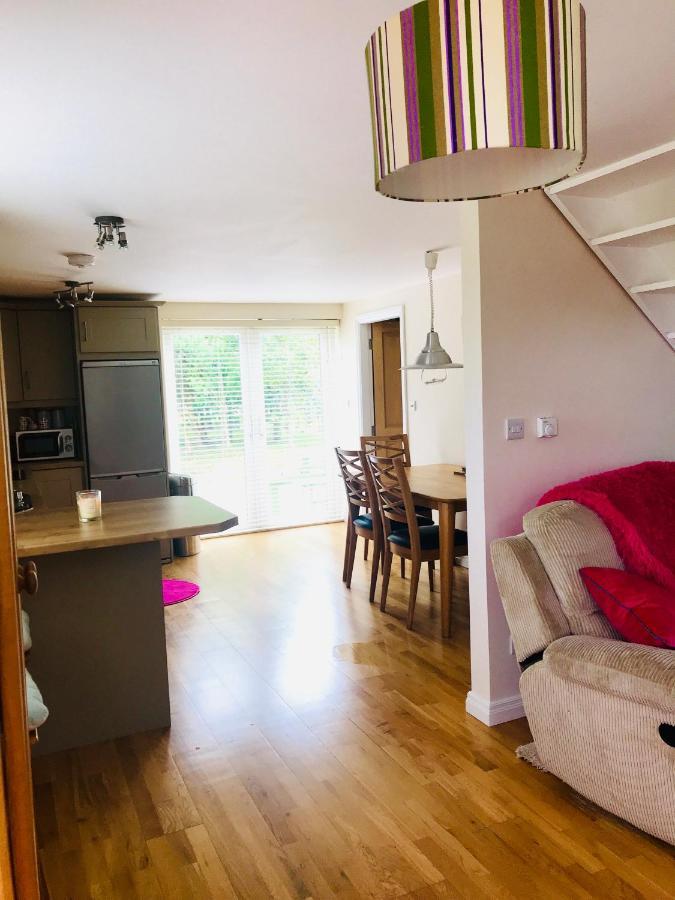Red Deer Cosy Apartment In Letterfrack Connemara Exteriör bild