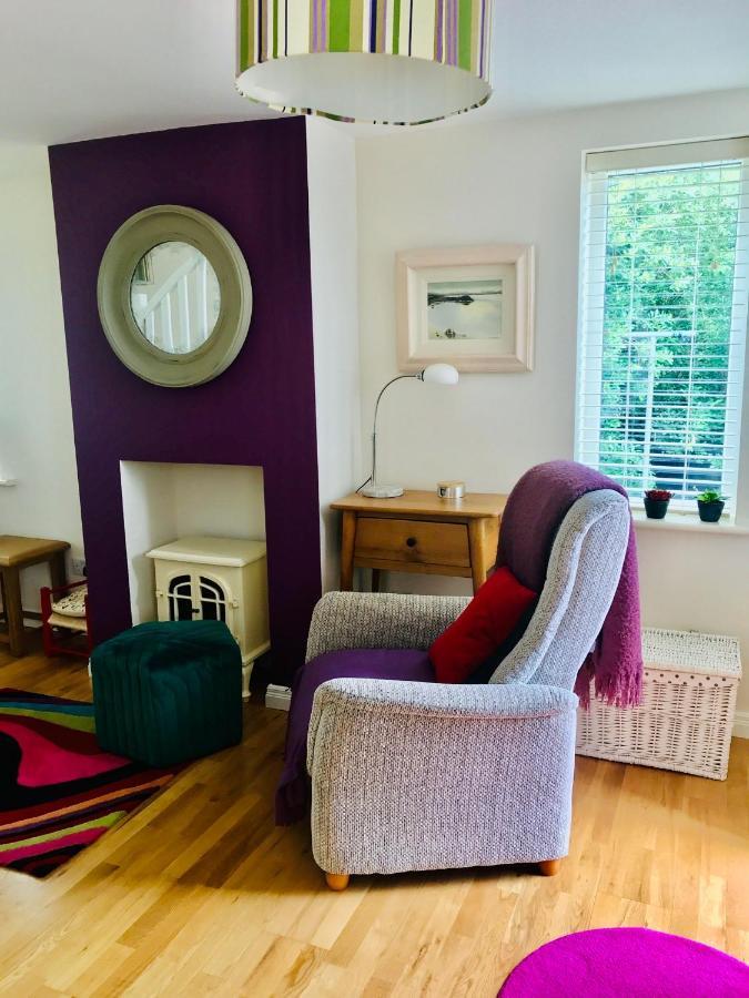 Red Deer Cosy Apartment In Letterfrack Connemara Exteriör bild
