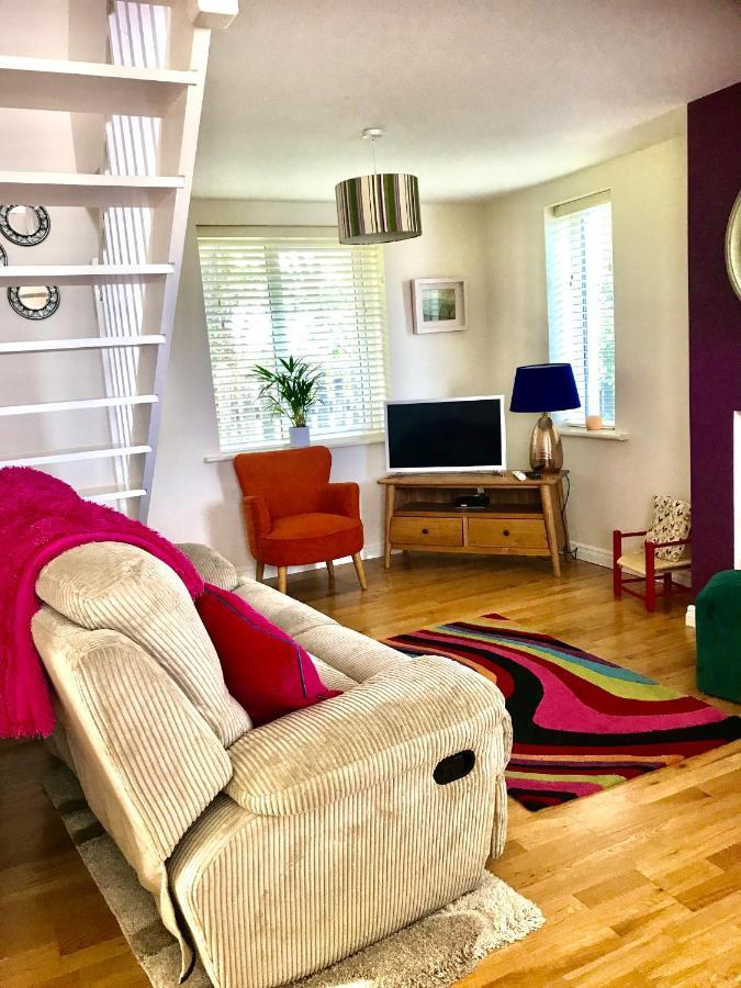Red Deer Cosy Apartment In Letterfrack Connemara Exteriör bild